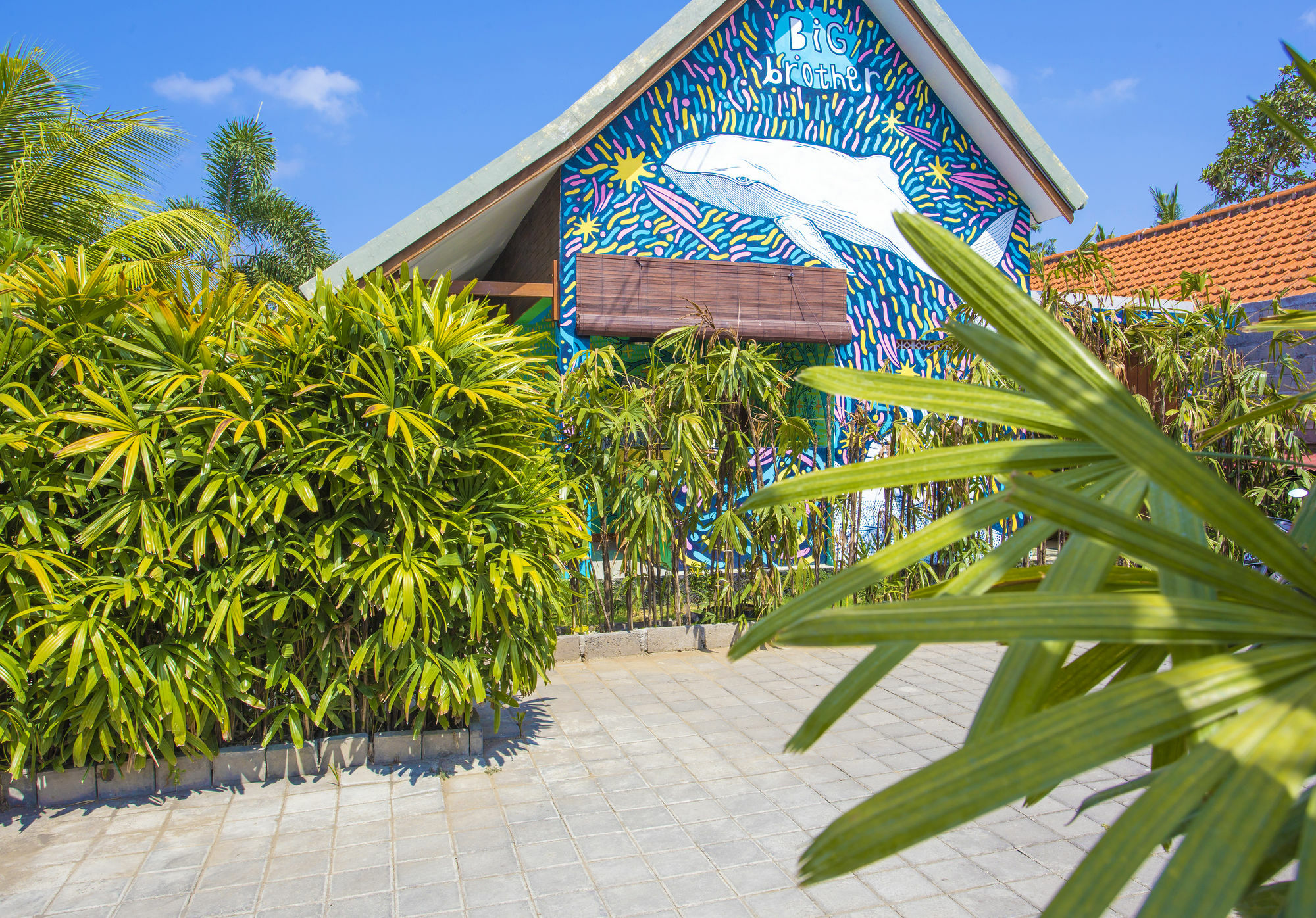 Big Brother Surf Inn Canggu  Exterior photo